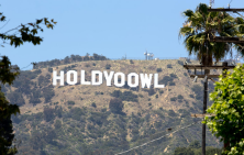 HOLD YO OWL