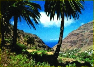 Tenerife. Voy a arrasar con Tenerife.